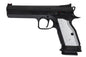 KJ Works CZ TS2 GBB 氣槍（ASG 授權）